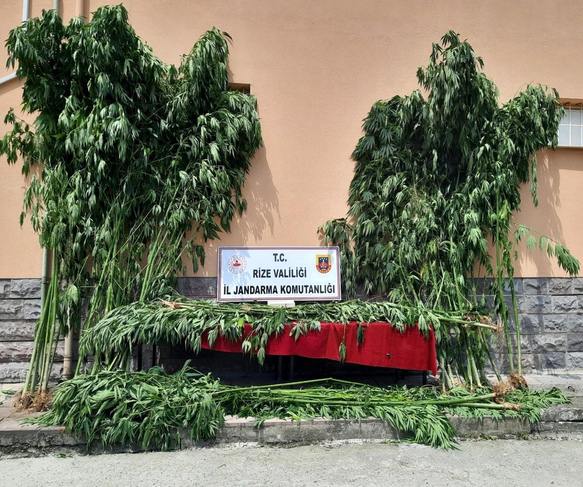 Rize\'de jandarma uyuşturucu ve sahte içki imalatçılarına göz açtırmadı