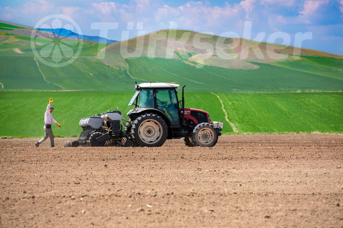Türkşeker\'den çiftçilere 650 milyon liralık destek