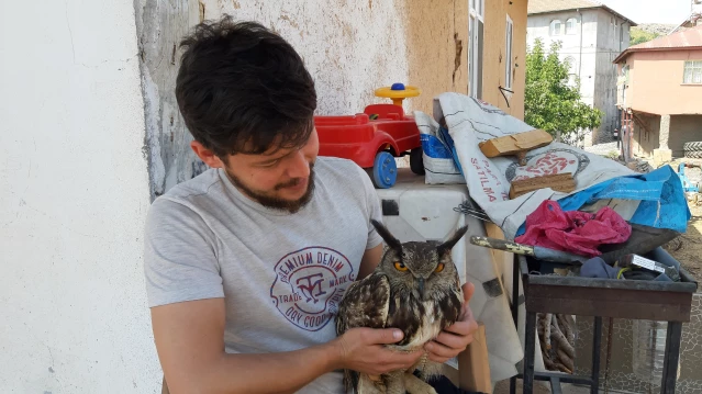 Adana'da yolda bitkin halde bulduğu puhu kuşuna evinde kuşa gözü gibi bakıyor