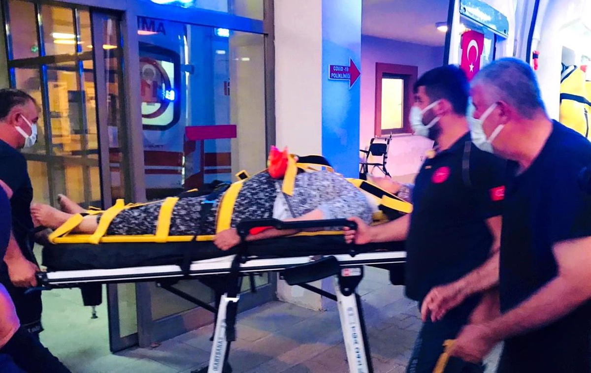 Besni\'de incir ağacından düşen kadın yaralandı