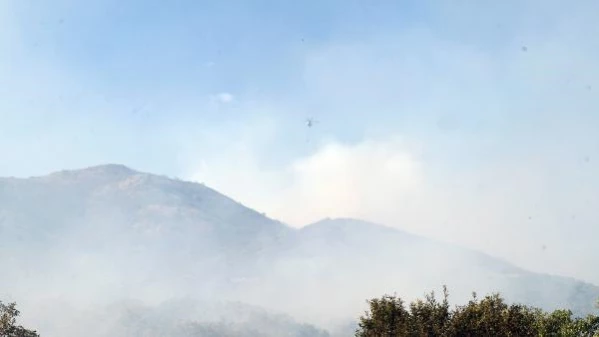 Son dakika haberi! Bingöl'deki orman yangını kontrol altında