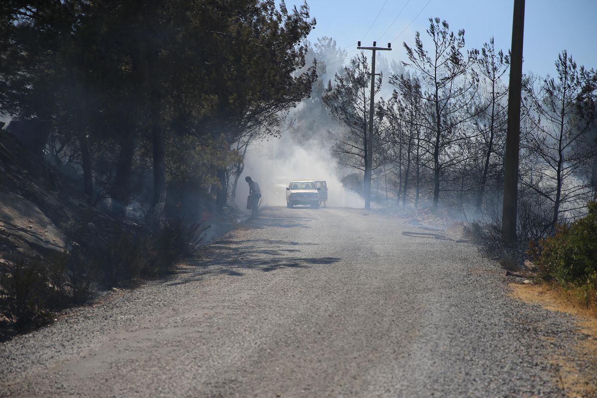 Bodrum ve Milas\'taki orman yangınlarına 3 uçak ve 12 helikopterle müdahale ediliyor
