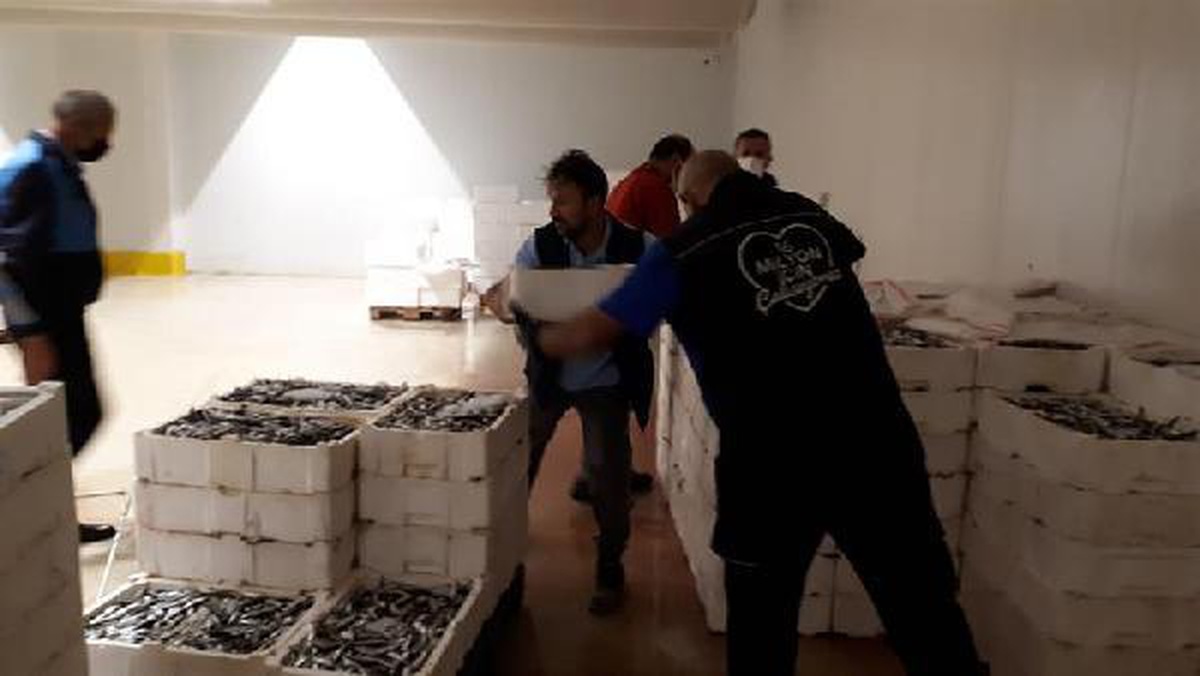 Boy yasağına aykırı avlanılan 2 ton istavrit balığına el konuldu
