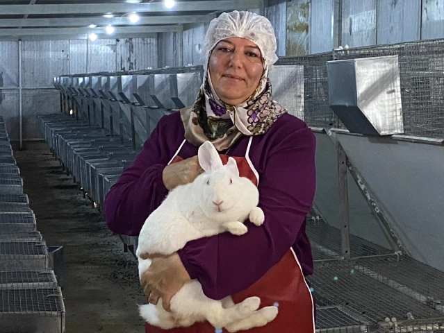 Emekli kadın polis hobi olarak başladığı tavşan üretiminde devlet desteğiyle büyüdü