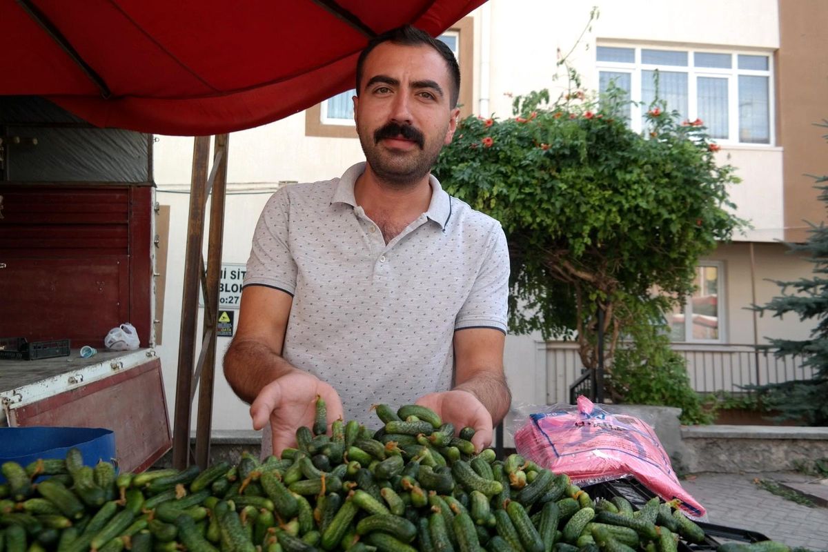 Esnaftan vatandaşa turşu çağrısı