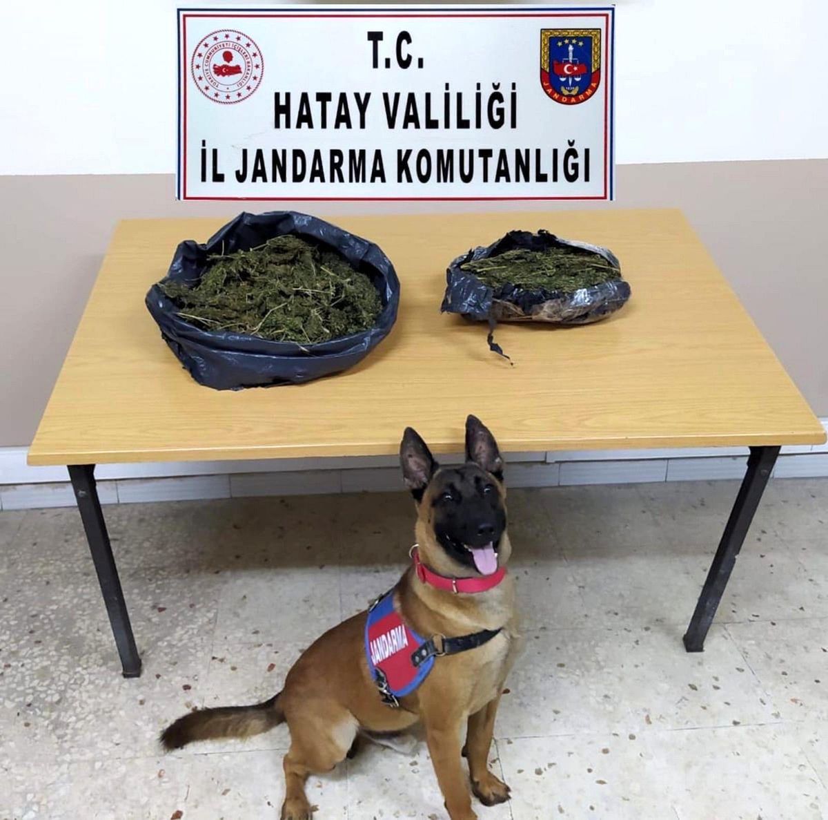 Hatay\'da uyuşturucu operasyonu: 4 gözaltı