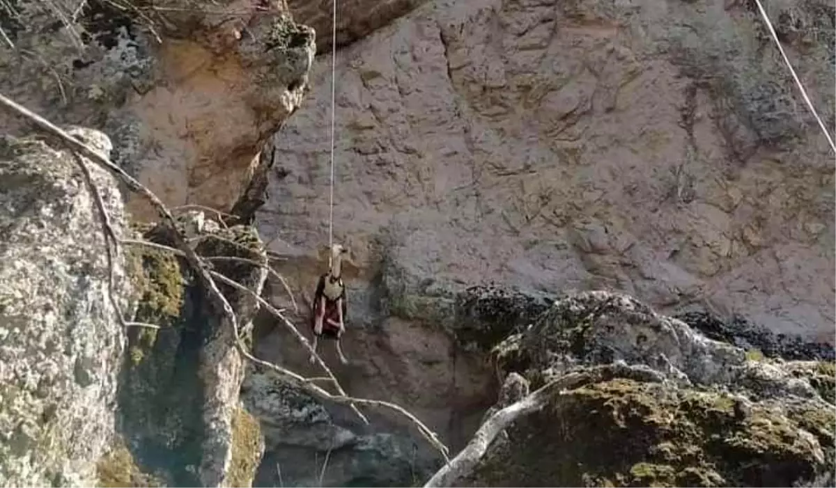 Son dakika haberleri! İzmir\'de filmleri aratmayan keçi kurtarma operasyonu