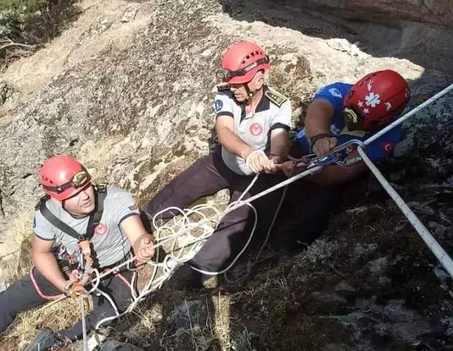 Son dakika haberleri! İzmir'de filmleri aratmayan keçi kurtarma operasyonu