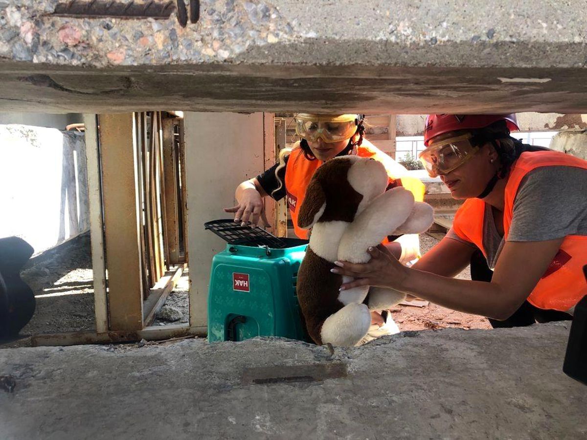 Son dakika! İzmir İtfaiyesinden afette kurtarılacak can dostlar için eğitim