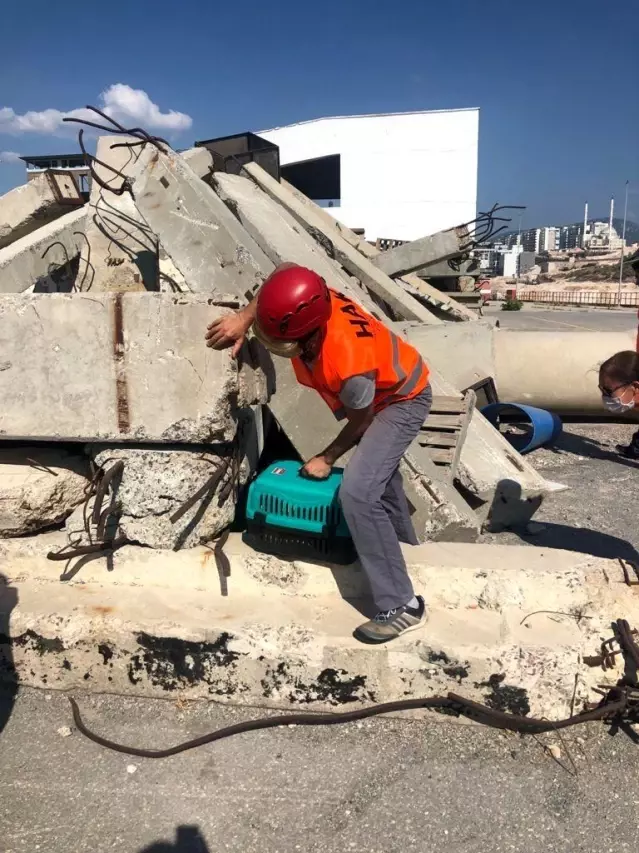 Son dakika! İzmir İtfaiyesinden afette kurtarılacak can dostlar için eğitim