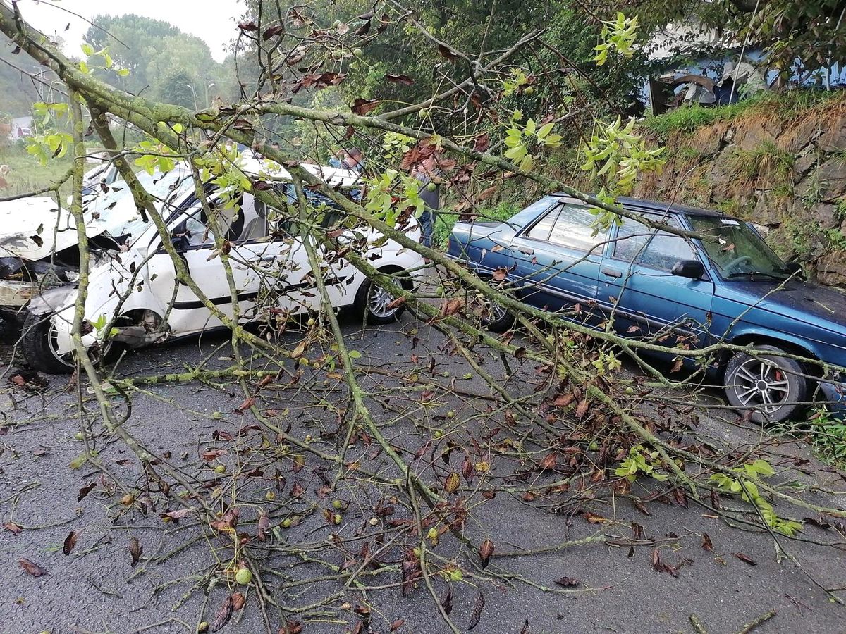 Kafa kafaya çarpıştılar: 2 yaralı