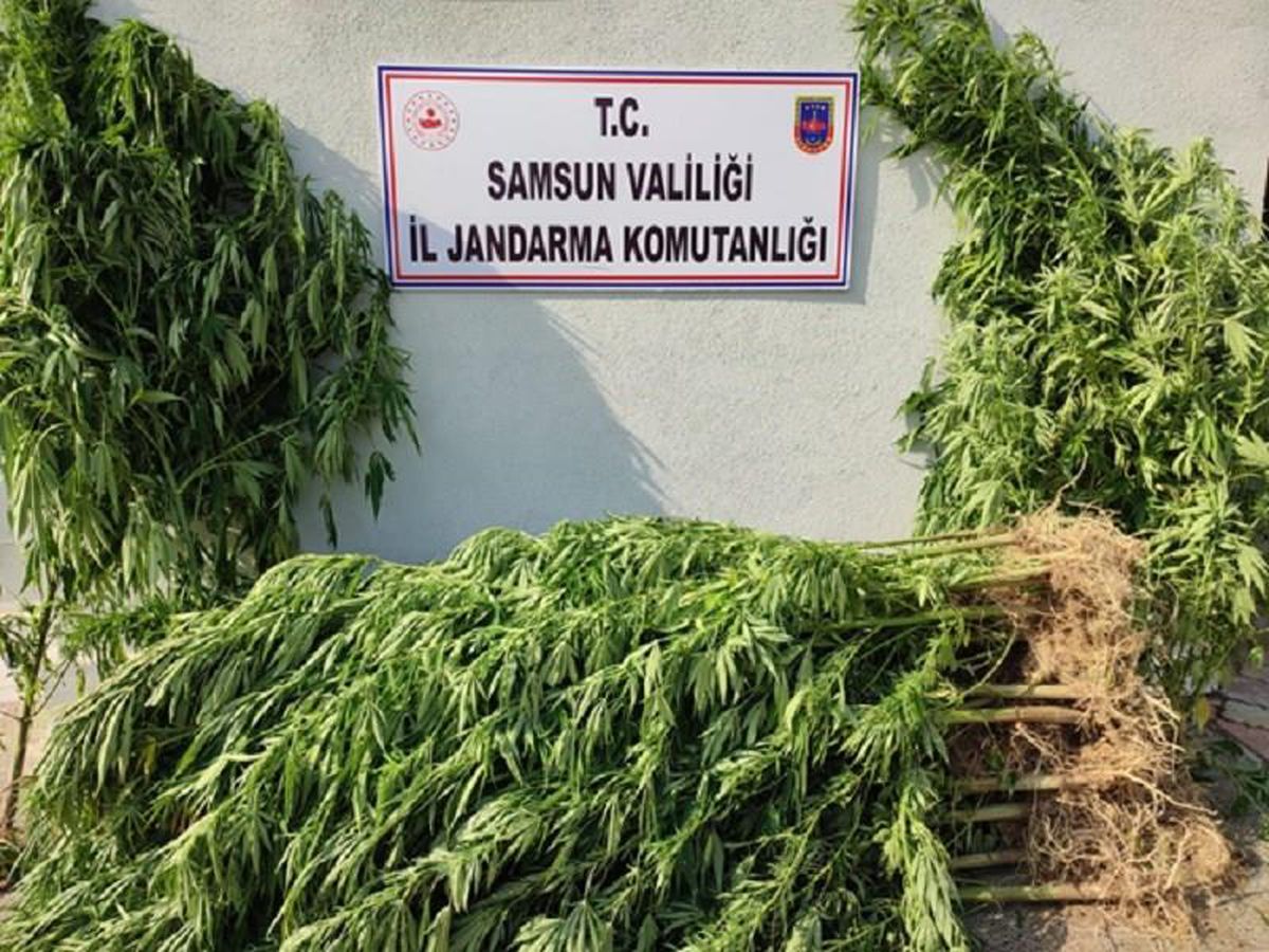 Samsun\'da uyuşturucu operasyonlarında 15 şüpheli yakalandı