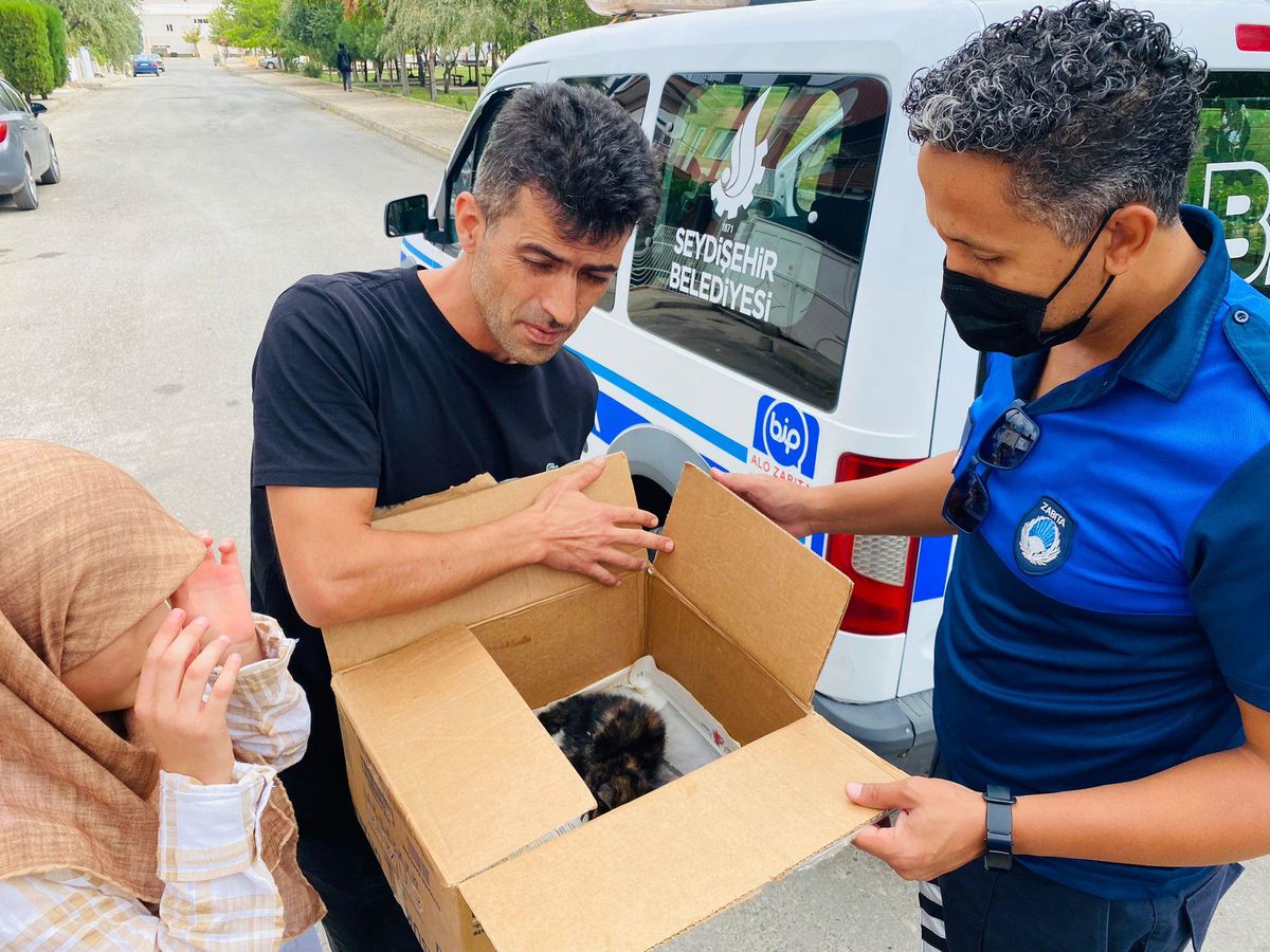 Seydişehir\'de yaralı bulunan kedi tedavisi yapıldıktan sonra barınağa teslim edildi