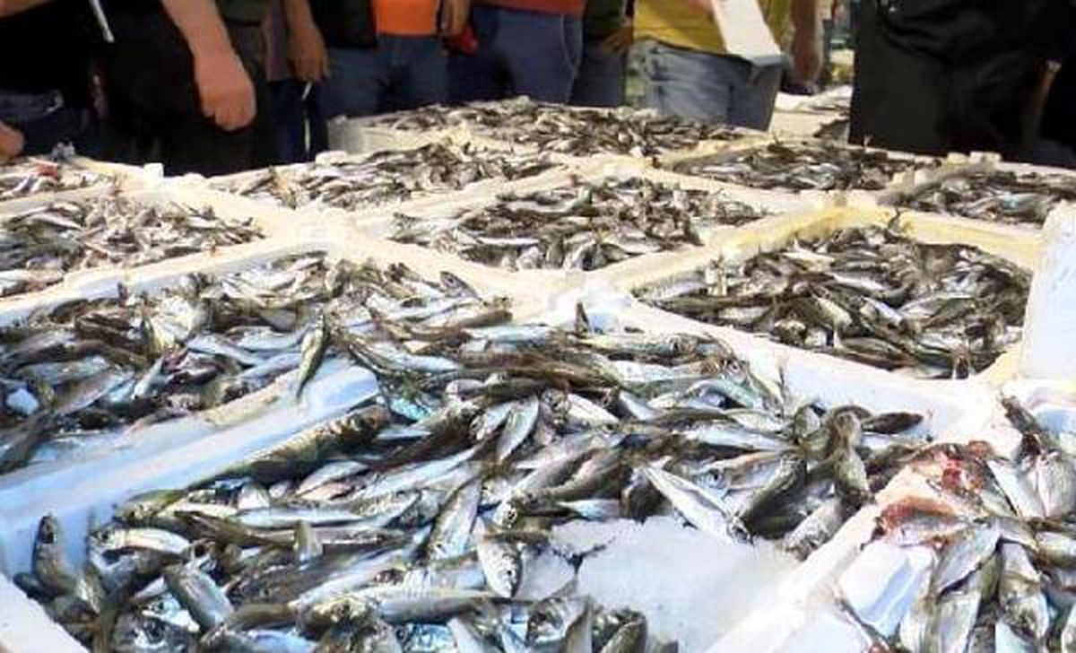 Vücut direncini yükseltiyor; haftada en az 2 kez tüketilmeli