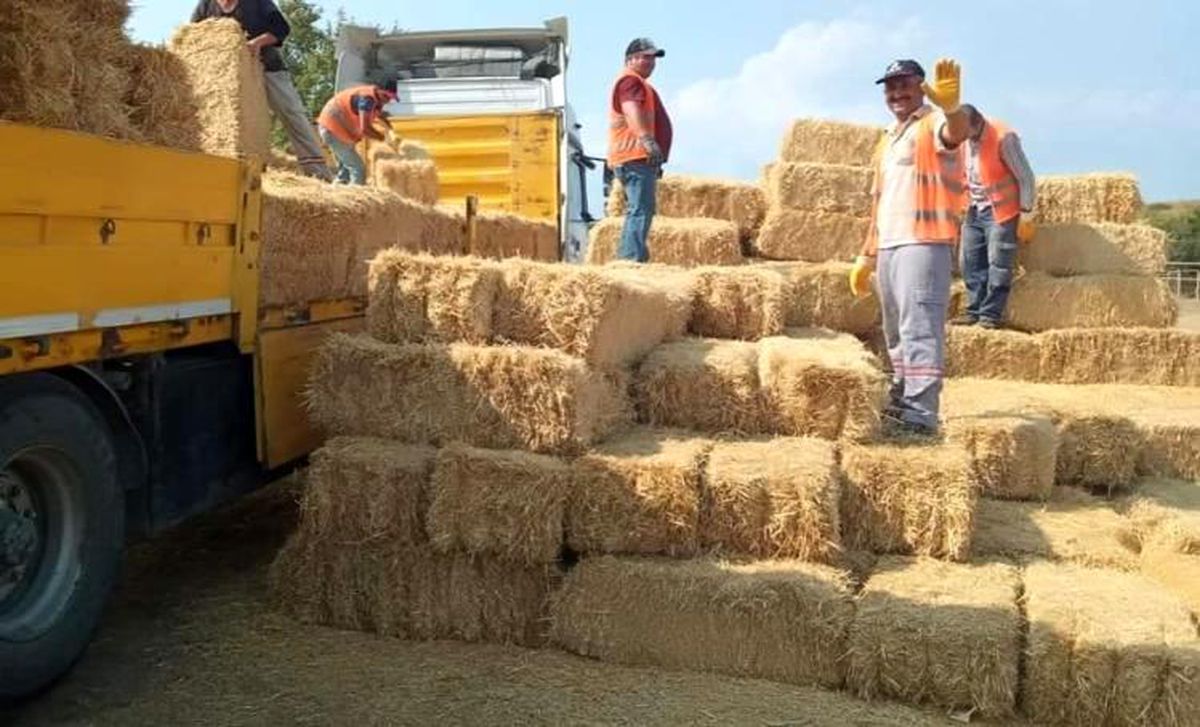 Son dakika haber | Yangında mağdur olan hayvan üreticilerine 1 tır yardım gönderildi