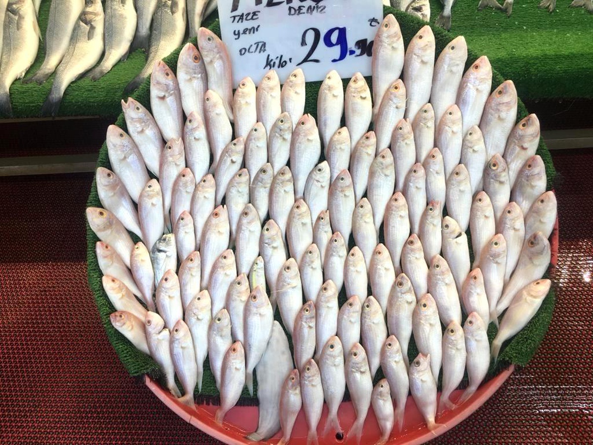 Yeni sezonda balıklar tezgahlardaki yerini aldı