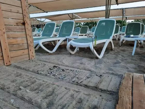 Antalya'daki caretta caretta ölümleri için iki otele 482 bin TL ceza kesildi