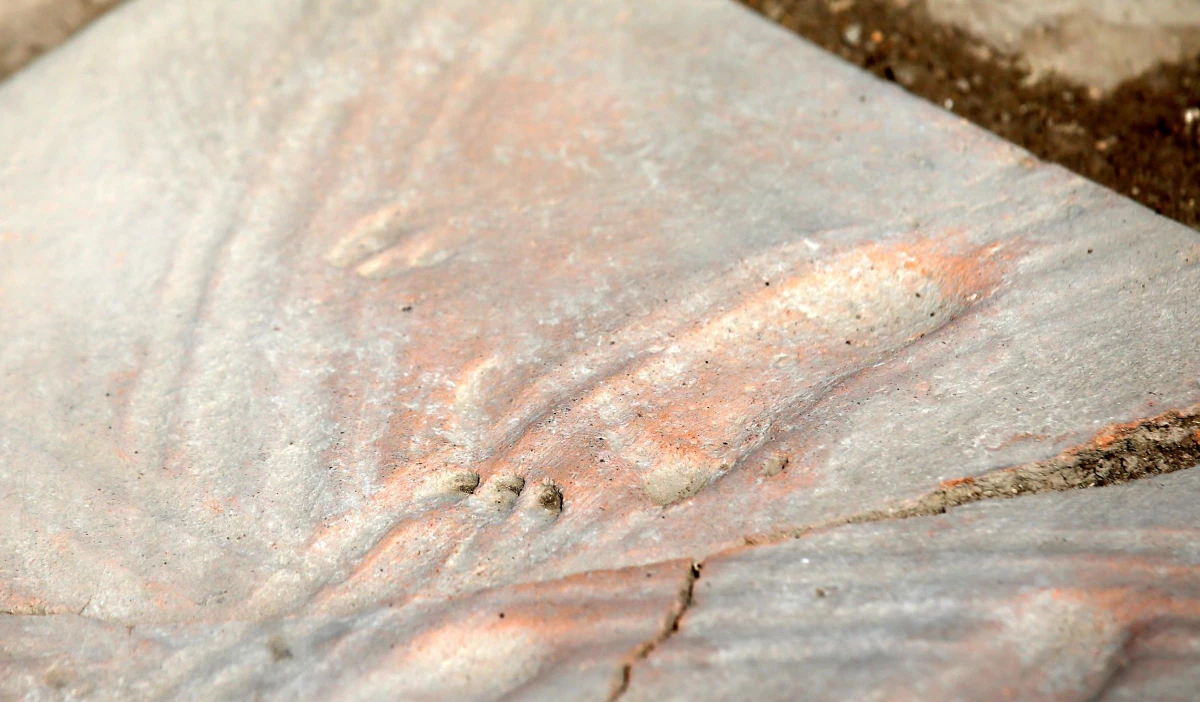 Tam 1300 yıldır aynı yerde duruyor! Kazı yapan Türk bilim insanları bebek ayak izlerine rastladı