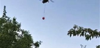 Son dakika haber... Balıkesir'de 2 ilçede orman yangını