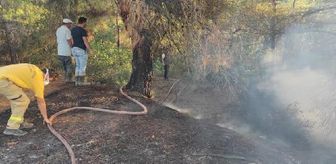 Balıkesir'de 2 ilçede orman yangını (2)