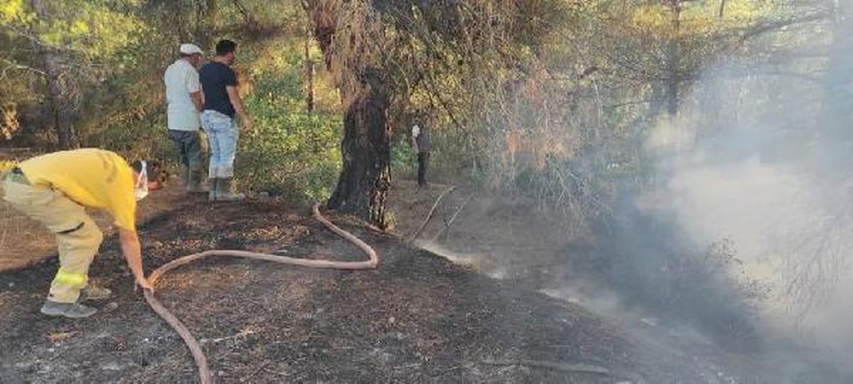 Balıkesir\'de 2 ilçede orman yangını (2)