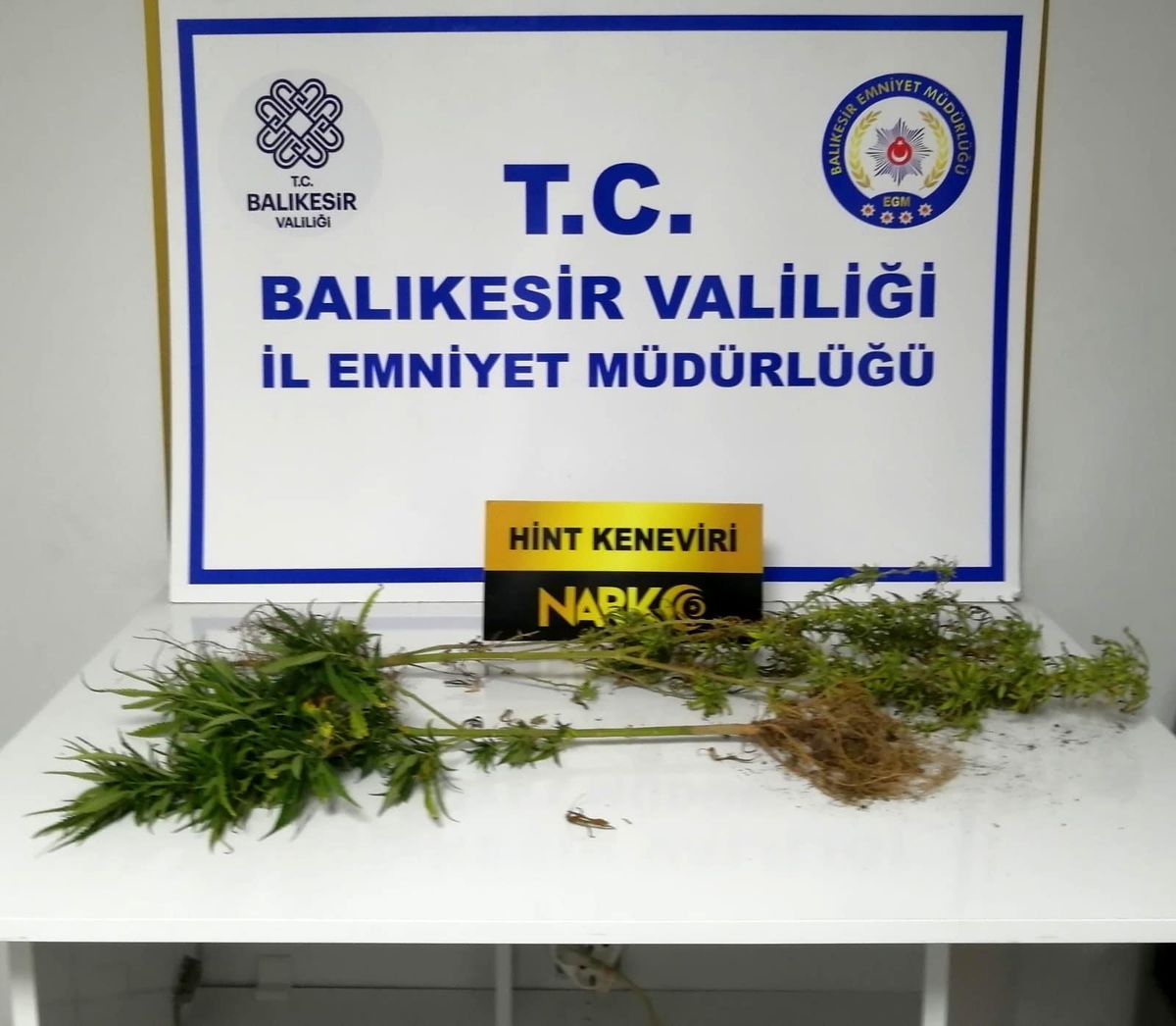 Son dakika haberi | Balıkesir\'de polisten 31 şahsa gözaltı