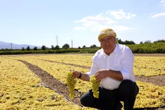 Başkan Çerçi üzüm üreticilerini ziyaret etti Başkan Çerçi üzüm üreticilerini ziyaret etti