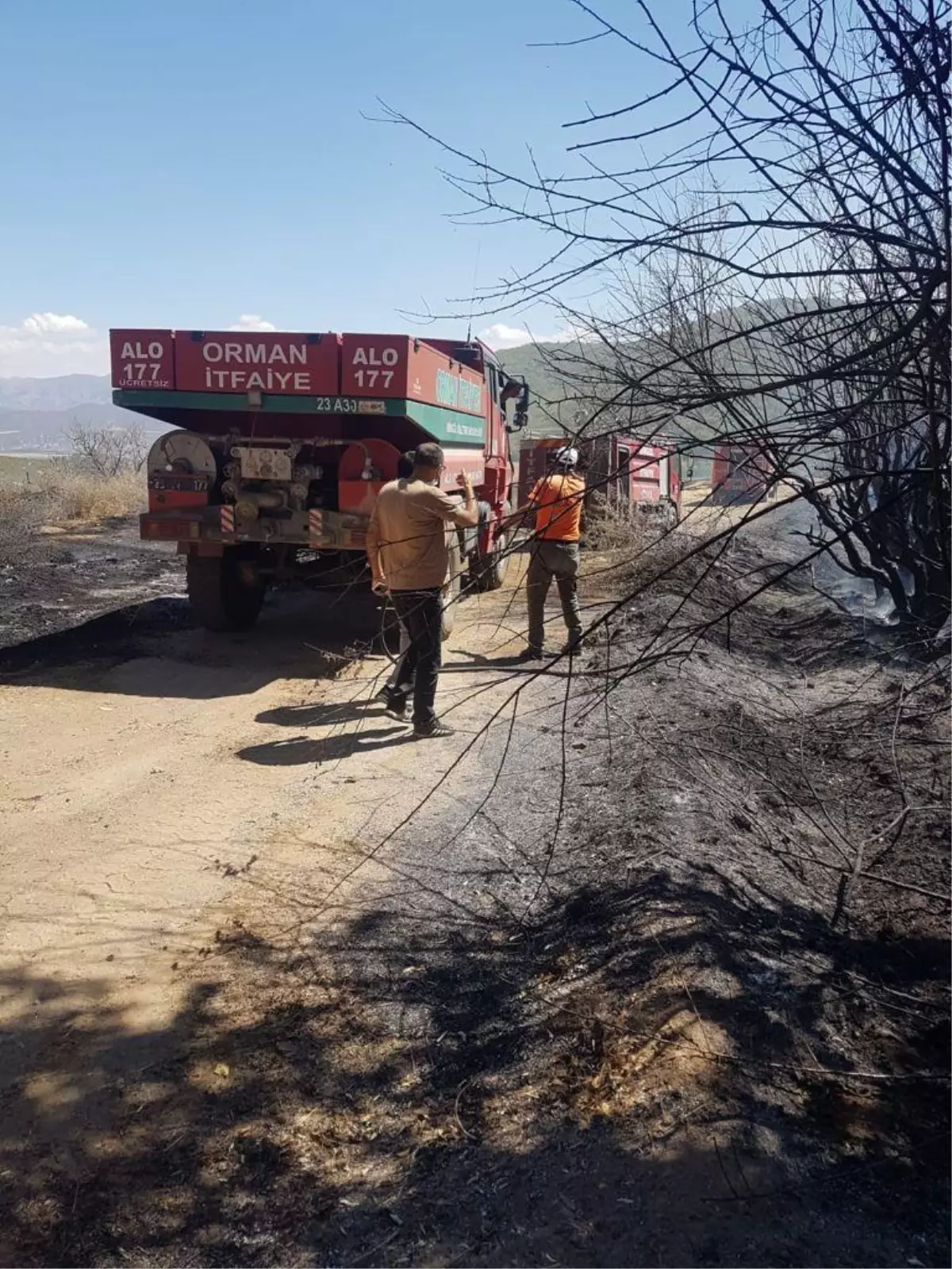 Son dakika haberi: Bingöl\'de ormanlık alanda çıkan yangın söndürüldü