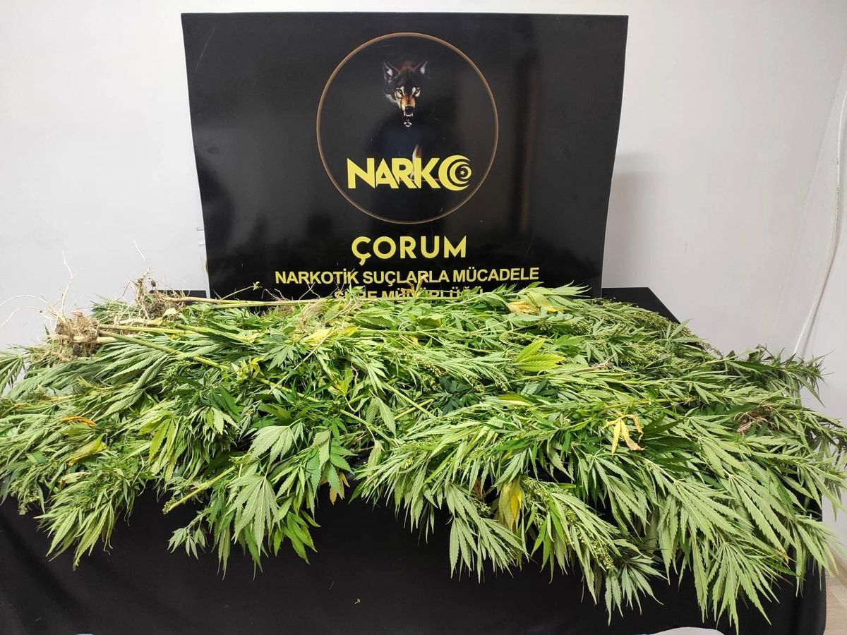 Çorum\'da uyuşturucu operasyonu