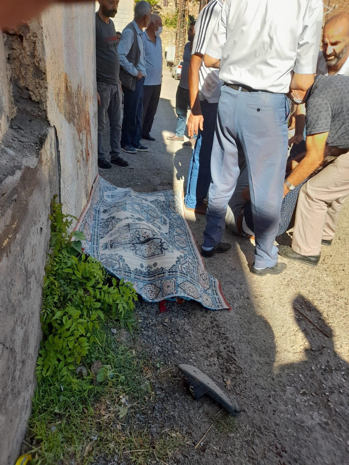 Elazığ\'da geri manevra yapan kamyonetin çarptığı çocuk yaşamını yitirdi