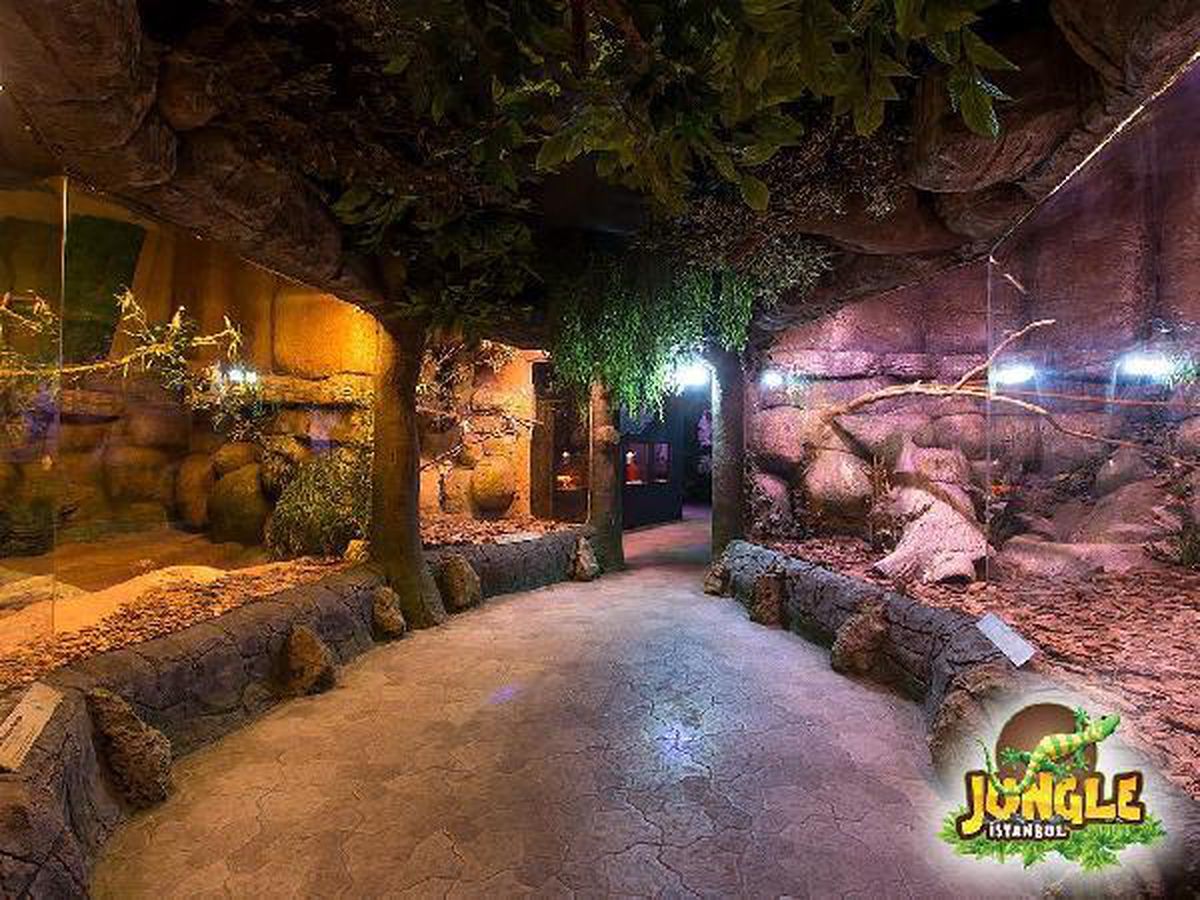 İSFANBUL Tema Park\'tan okula dönüş kampanyası
