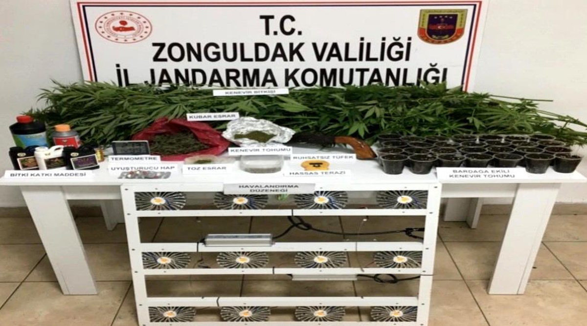 İzinsiz kenevir yetiştiren 1 kişi yakalandı