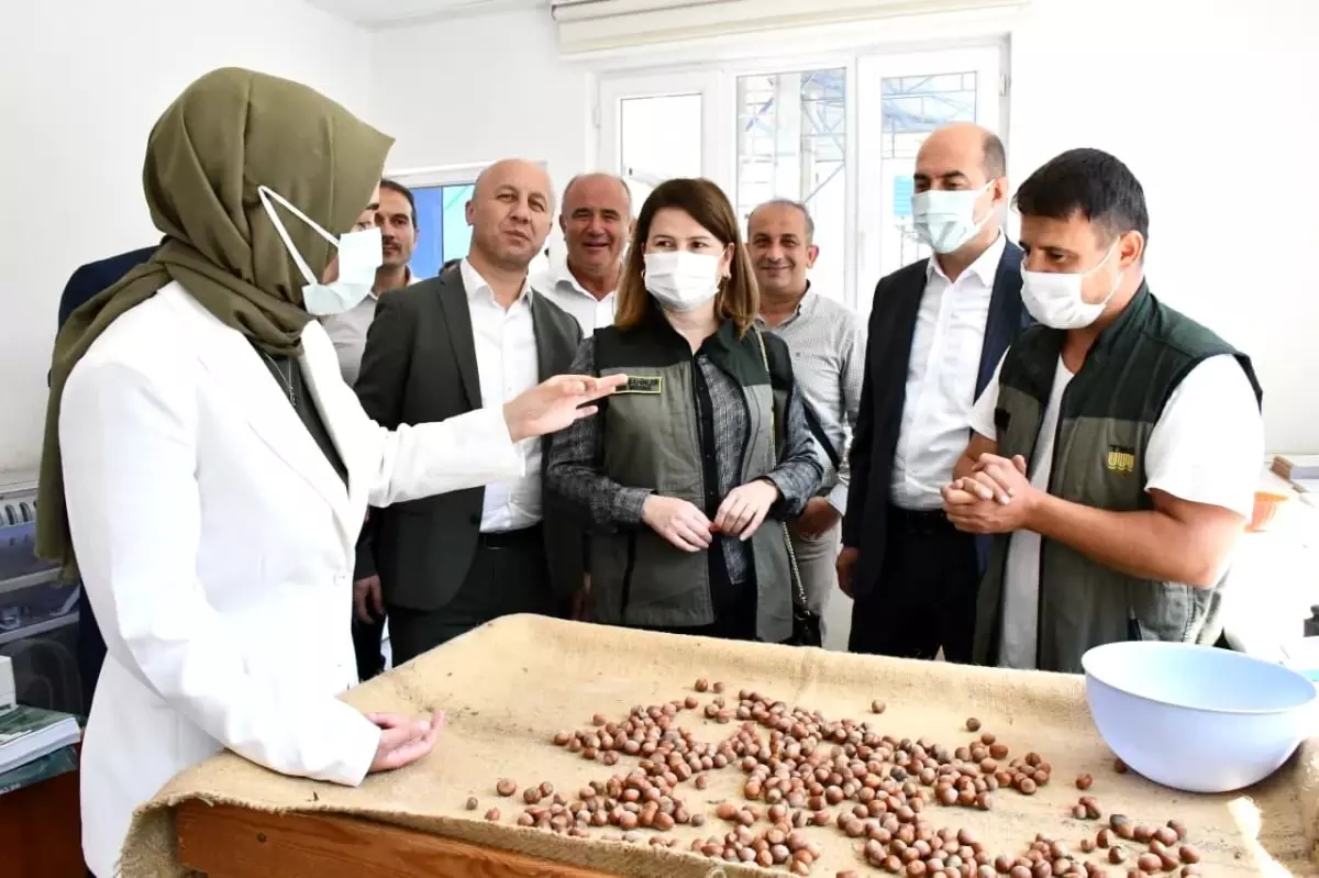 Kılıç: "Fındık bizim olmazsa olmazımız"