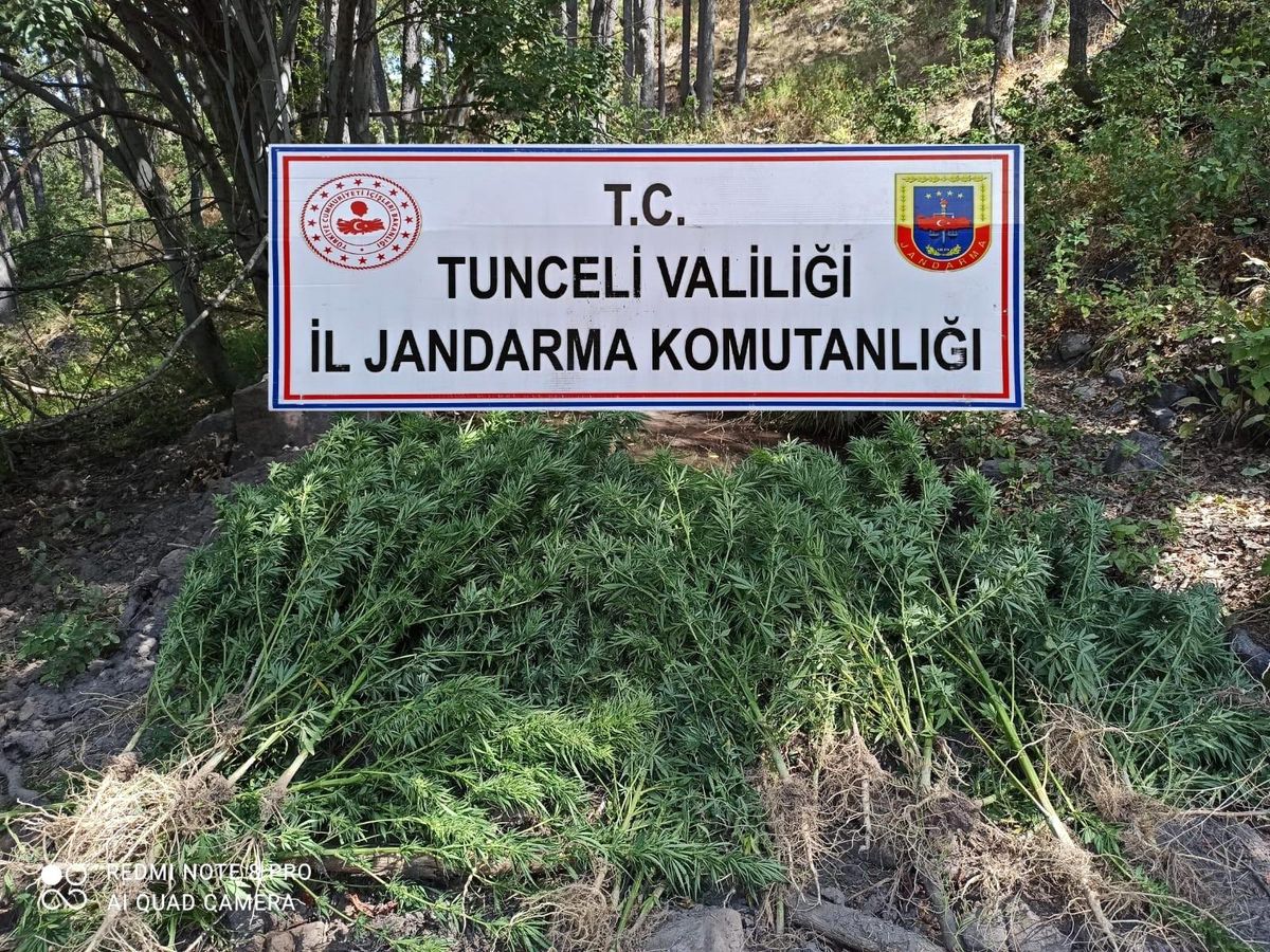 Son dakika haberleri: Tunceli\'de uyuşturucu operasyonu