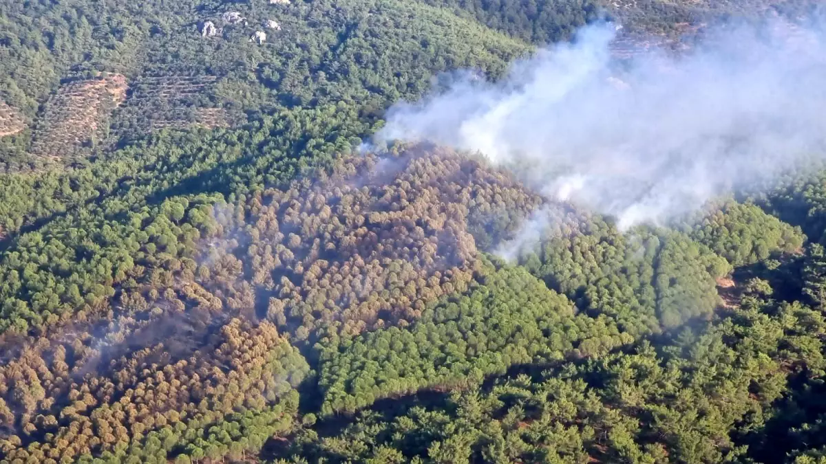 Son dakika haberi... Balıkesir\'de orman yangını