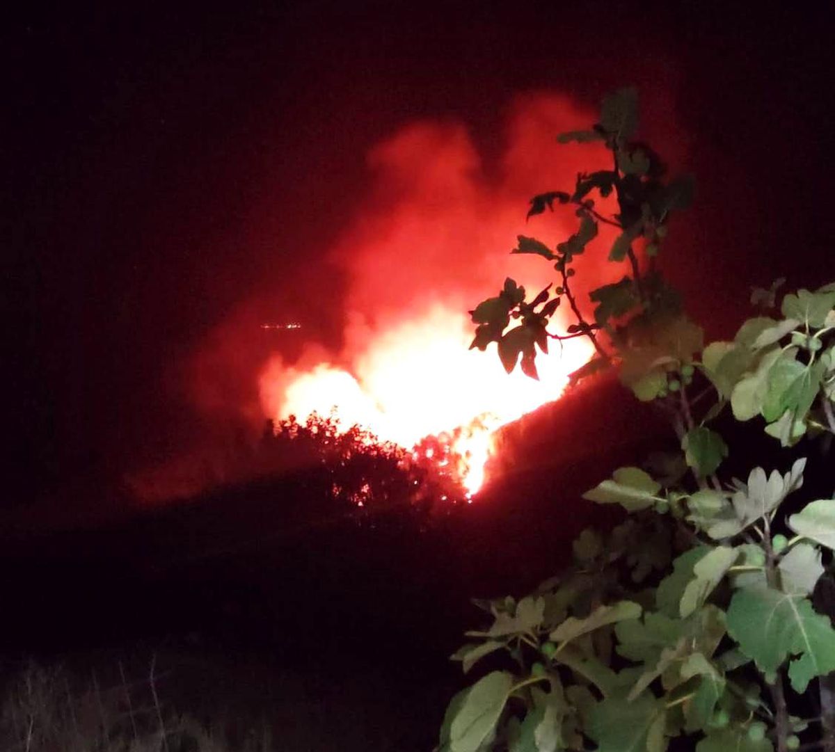 Son dakika haberi | Bodrum\'da gece çıkan orman yangını, sabah kontrol altına alındı