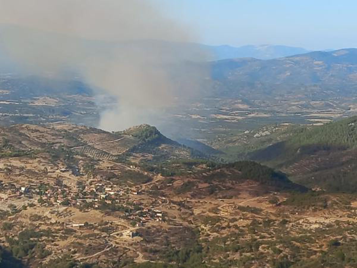Son dakika haber... Burhaniye\'de orman yangını