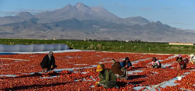 Erciyes'in etekleri kırmızıya boyandı Erciyes'in etekleri kırmızıya boyandı