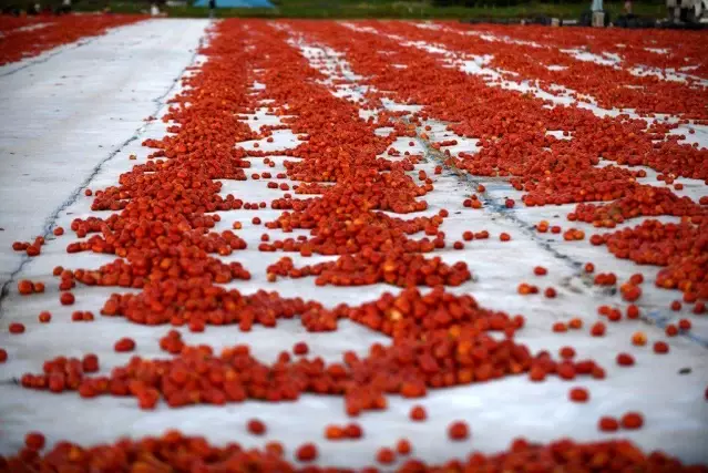 Erciyes'in etekleri kırmızıya boyandı Erciyes'in etekleri kırmızıya boyandı
