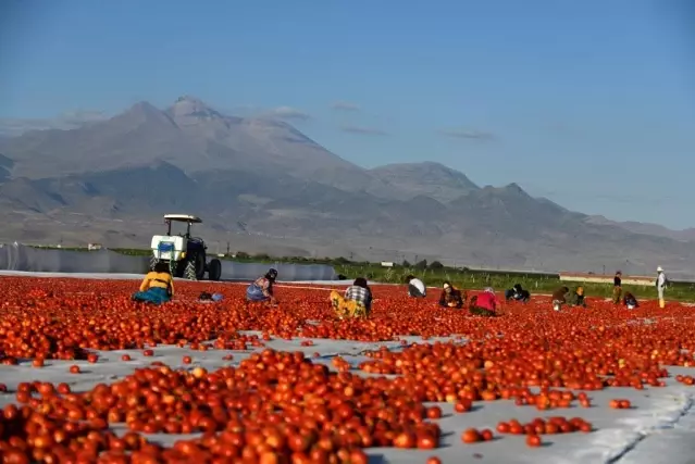 Erciyes'in etekleri kırmızıya boyandı Erciyes'in etekleri kırmızıya boyandı