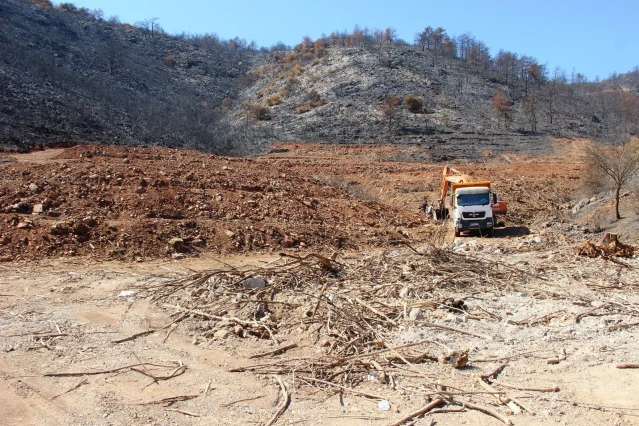 İnşaat yapılıyor denilen yanan koyda, lavanta bahçesi yapıldığı ortaya çıktı