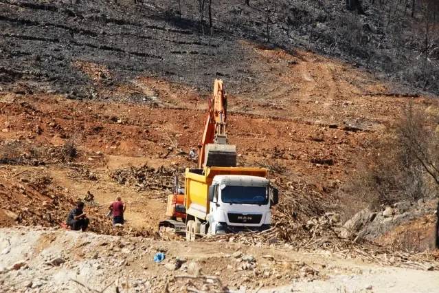 İnşaat yapılıyor denilen yanan koyda, lavanta bahçesi yapıldığı ortaya çıktı