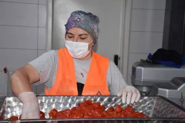 İzmir'de üretilen salçanın geliri lösemili çocuklara umut olacak