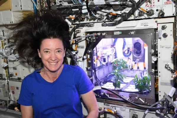 NASA astronotu uzayda biber fidelerinin çiçek açtığını açıkladı