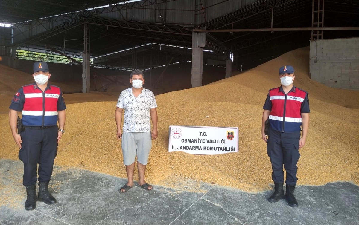 Osmaniye\'de 52 ton mısır çalan şahıs yakalandı