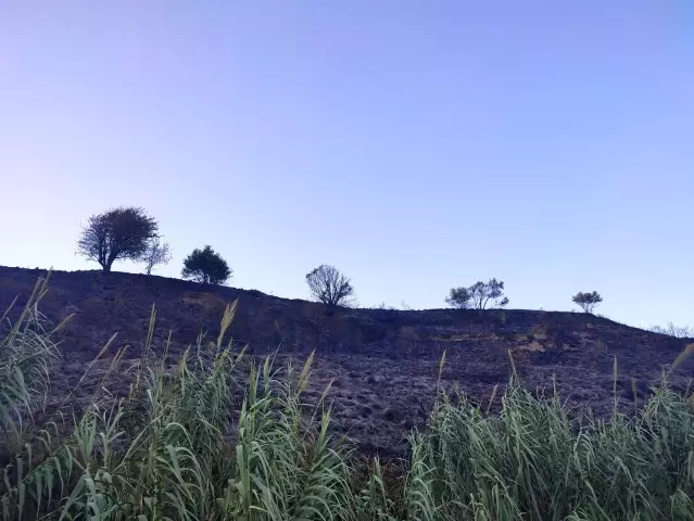 Son dakika haberi | Samandağ'da bahçe yangını Son dakika haberi | Samandağ'da bahçe yangını
