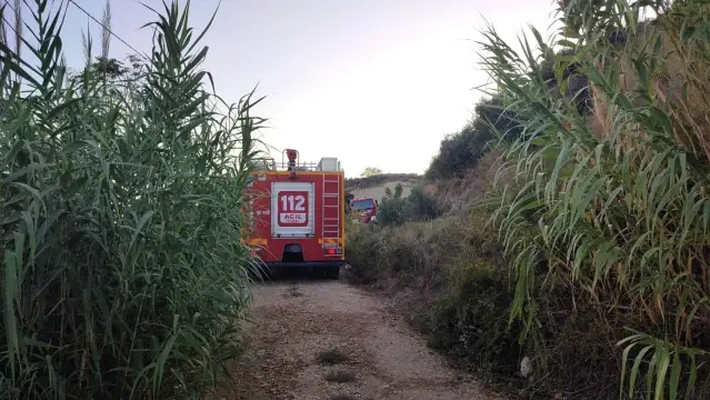 Son dakika haberi | Samandağ'da bahçe yangını Son dakika haberi | Samandağ'da bahçe yangını