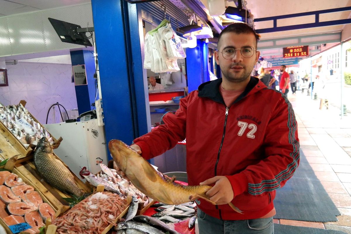 Sezonun ilk balıkları tezgâha düştü