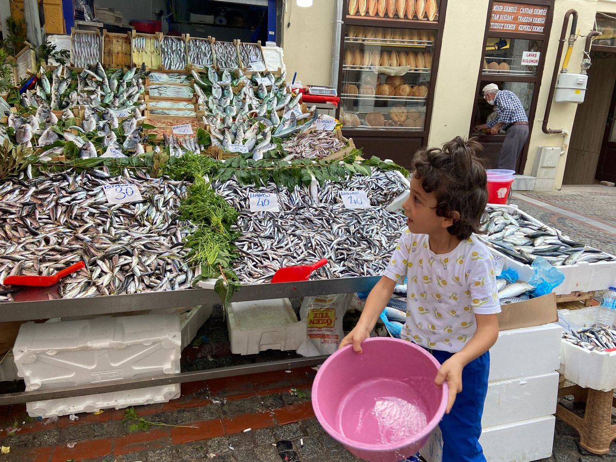 Edirne\'de hamsinin kilogramı 40 liradan satışa sunuluyor