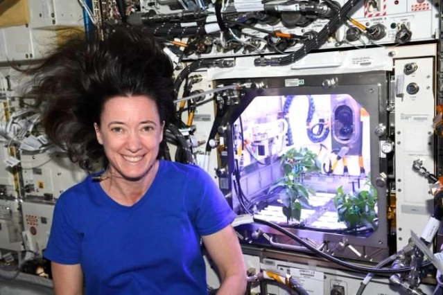 Nasa Astronotu: Uzayda Biber Fideleri Çiçek Açtı 